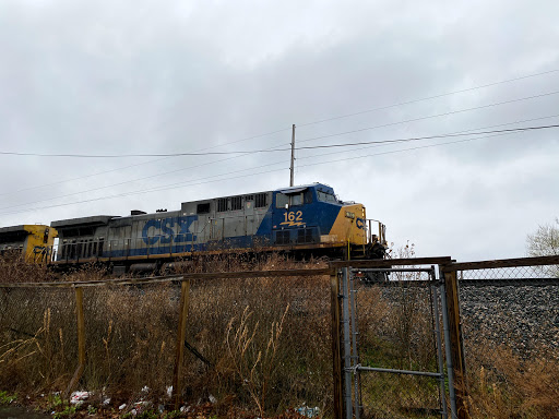 Bicycle Store «Tryon Bike», reviews and photos, 80 Rockwood Pl Suite 112, Rochester, NY 14610, USA