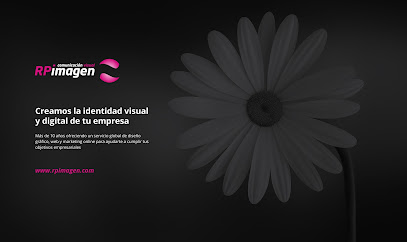 Información y opiniones sobre RP Imagen | Diseño web y Diseño gráfico en Beasain, Gipuzkoa de Beasain
