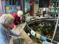 The Willows - A LifeMinded Residence - Photo 6 - Car repair in Bellingham, WA, Bellingham