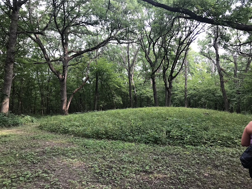 Woodland Mounds State Preserve