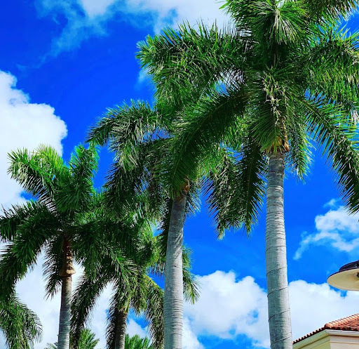 Park «Dottie Mancini Park», reviews and photos, 6520 NE 22nd Ave, Fort Lauderdale, FL 33308, USA