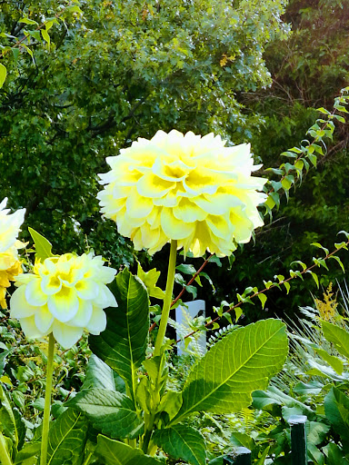 Museum «Miramont Castle Museum», reviews and photos, 9 Capitol Hill Ave, Manitou Springs, CO 80829, USA