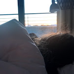 Photo n°9 de l'avis de ronny.c fait le 27/10/2018 à 07:42 sur le  Mercure Hotel Plaza Essen à Essen