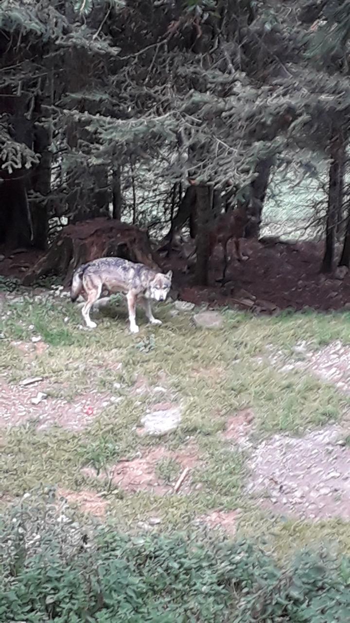 Photo n° 4 de l'avis de Hock. fait le 29/08/2019 à 15:28