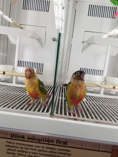 Pet Supply Store «Petco Animal Supplies», reviews and photos, 247 N Washington Hwy, Ashland, VA 23005, USA