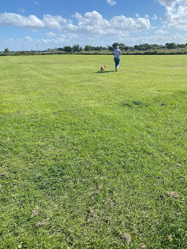 Doggyvip field - Dog trainer