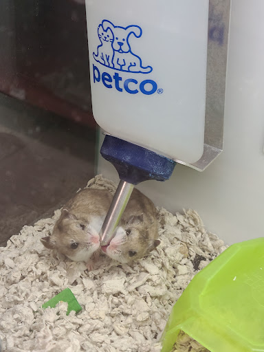 Pet Supply Store «Petco Animal Supplies», reviews and photos, 848 N Colony Rd c, Wallingford, CT 06492, USA