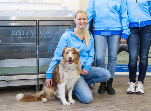 Tierphysioteam Friedberg unter Bruchköbel, 
