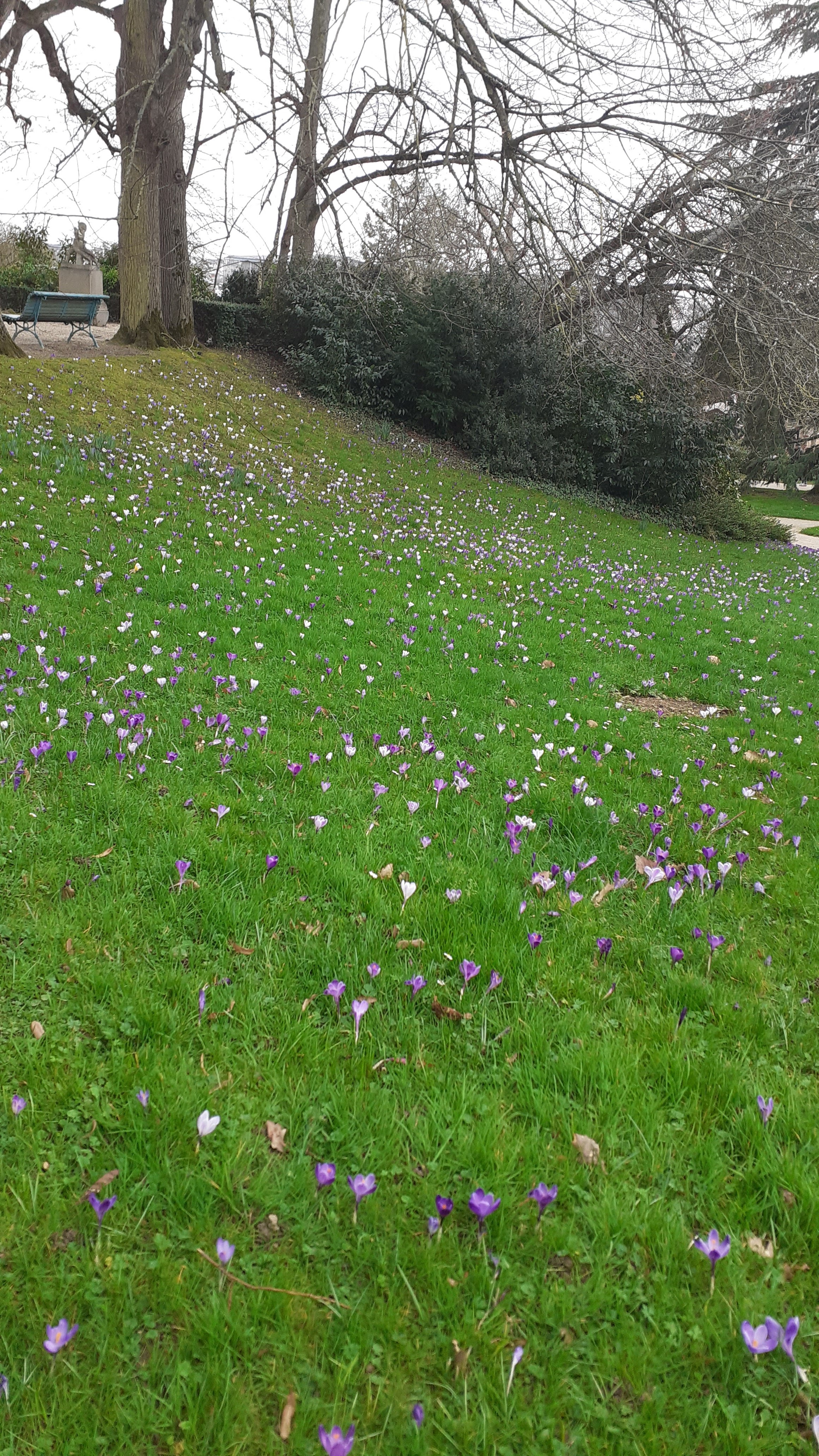 Photo n° 1 de l'avis de Aurélie.a fait le 22/02/2022 à 17:32