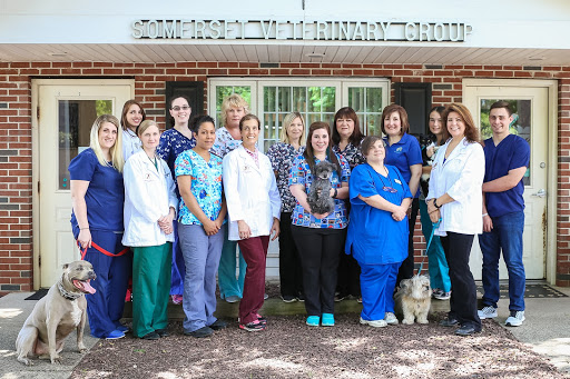 1074 US-22, Bridgewater, NJ 08807, USA