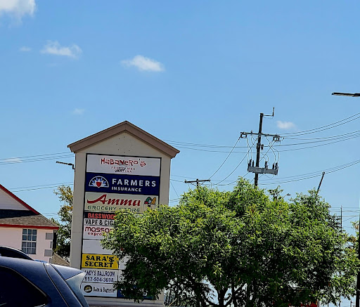 Indian Grocery Store «Amma Indian Grocery Store», reviews and photos, 5601 Basswood Blvd #149, Fort Worth, TX 76137, USA