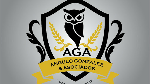 AGA Angulo González y Asociados S.C.