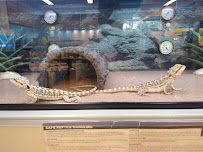 Petco - Photo 4 - Car repair in Bothell, WA, Seattle