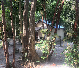 Papillon Bungalows photo