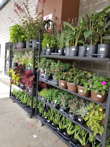 Supermarket «WinCo Foods», reviews and photos, 160 SW Campus Dr, Federal Way, WA 98003, USA