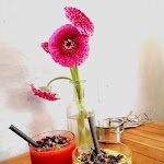 Photo n°4 de l'avis de Alpha.m fait le 09/04/2022 à 09:01 sur le  Boulangerie Backerei à Berlin