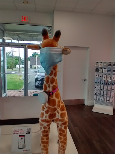 Auto Parts Store «Advance Auto Parts», reviews and photos, 130 N 22nd St, Springfield Township, NJ 07081, USA