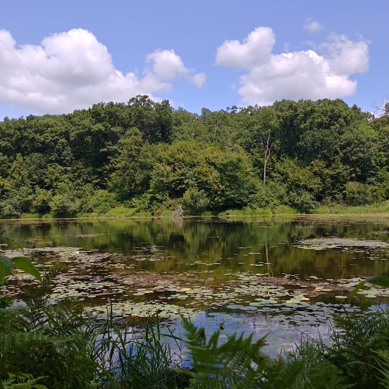 Lake Maria State Park