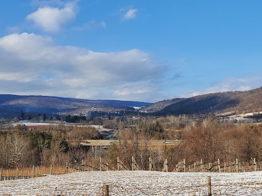 Winery «Chateau Obrien At North Point», reviews and photos, 3238 Railstop Rd, Markham, VA 22643, USA