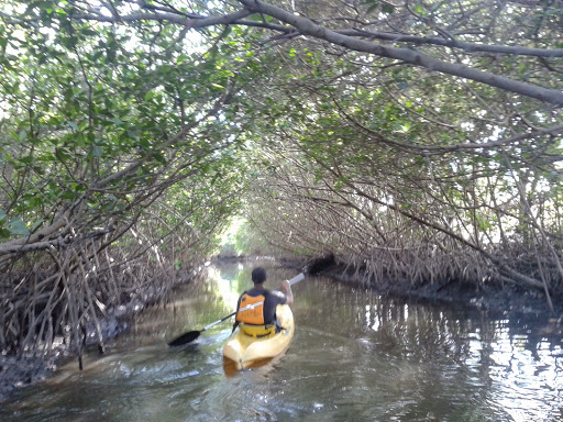 Nature Preserve «Anne Kolb Nature Center», reviews and photos, 751 Sheridan St, Hollywood, FL 33019, USA