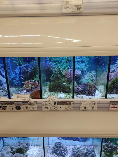 Pet Supply Store «Petco Animal Supplies», reviews and photos, 1933 South Rd, Poughkeepsie, NY 12601, USA