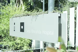 Seijo Kinoshita hospital image