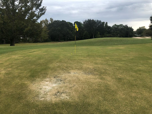 Golf Club «Shalimar Pointe Golf Club», reviews and photos, 302 Country Club Rd, Shalimar, FL 32579, USA