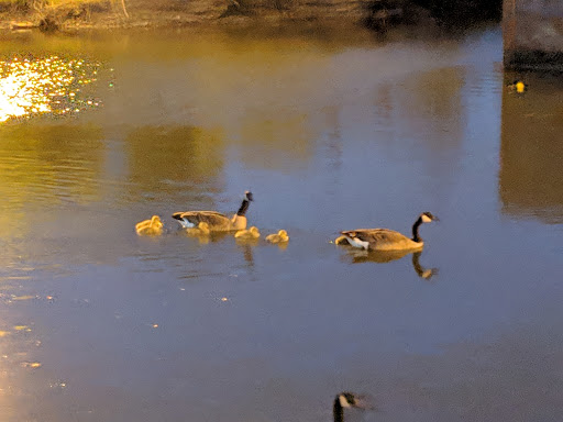 Park «Liberty State Park», reviews and photos, 200 Morris Pesin Dr, Jersey City, NJ 07305, USA