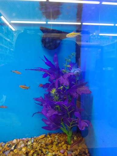 Pet Supply Store «Pet Supplies Plus», reviews and photos, 4488 Commercial Dr, New Hartford, NY 13413, USA