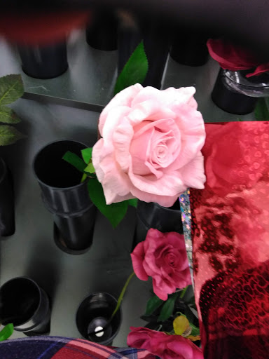 Craft Store «Hobby Lobby», reviews and photos, 150 E Oak St, Conway, AR 72032, USA