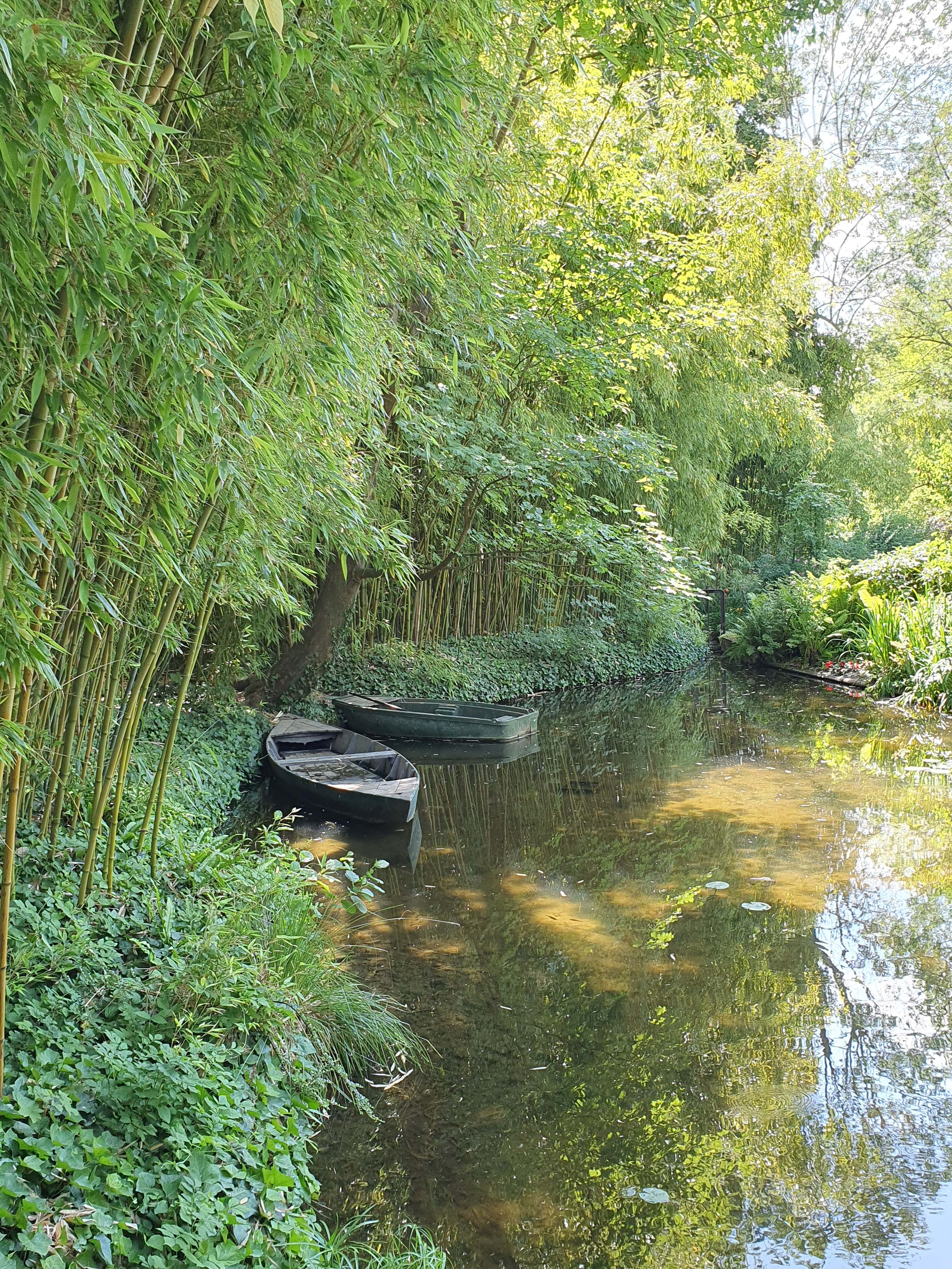 Photo n° 1 de l'avis de françoise.e fait le 30/06/2023 à 16:08