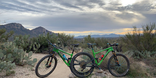 Bicycle Store «All Spoked Up Inc», reviews and photos, 3 Webster St, Batavia, IL 60510, USA