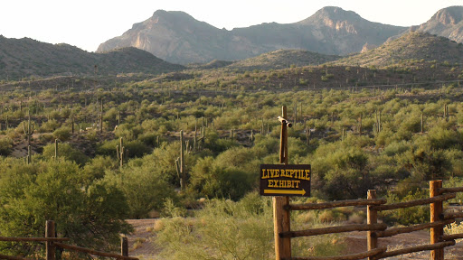 Botanical Garden «Desert Botanical Garden», reviews and photos, 1201 N Galvin Pkwy, Phoenix, AZ 85008, USA