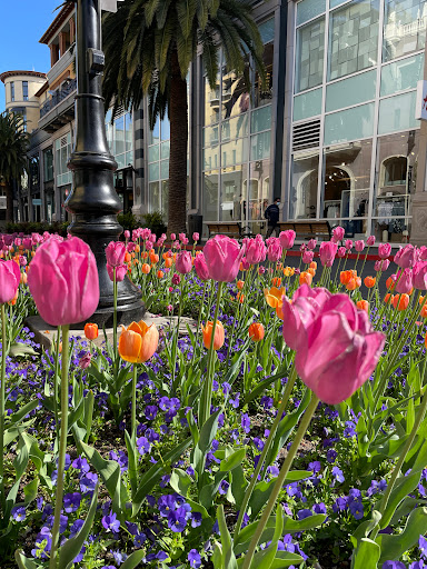 Beauty Supply Store «SEPHORA inside JCPenney», reviews and photos, 377 Santana Row, San Jose, CA 95128, USA