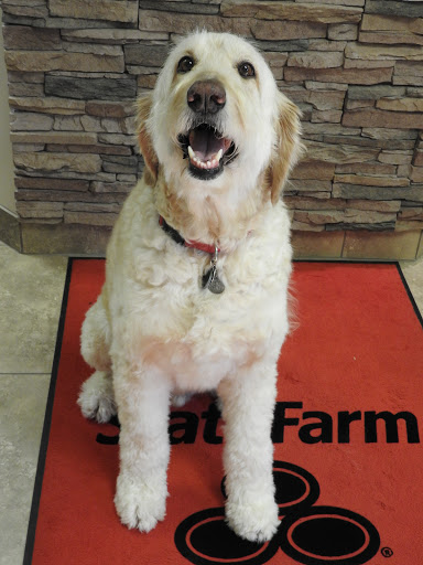 Insurance Agency «State Farm: Brad Siok, ChFC, CLU, CPCU», reviews and photos