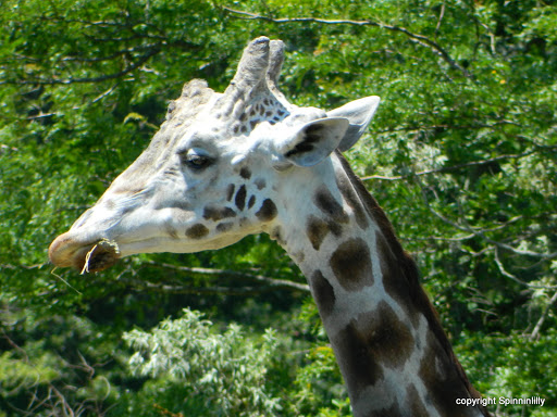 Golf Club «Avalon Golf Club», reviews and photos, 1510 U.S. 9, Cape May Court House, NJ 08210, USA
