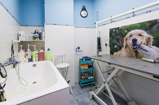 Clínica Veterinaria Abril en León