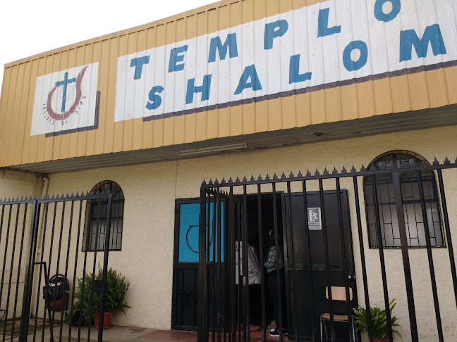 Iglesia De Dios Shalom - Limache