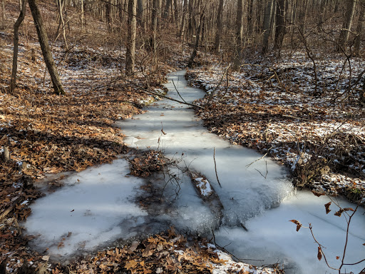 State Park «Cheesequake State Park», reviews and photos, 300 Gordon Rd, Matawan, NJ 07747, USA