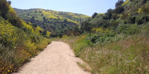 Hiking Area «Whittier Turnbull Canyon Hiking Trail», reviews and photos, Turnbull Canyon Rd, Whittier, CA 90601, USA