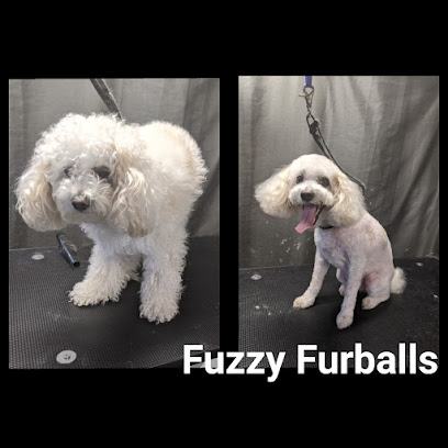 Fuzzy Furballs Grooming