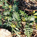 Photo n°3 de l'avis de Morten.h fait le 15/09/2022 à 19:39 sur le  Camping Villaggio Grande Italia à Sottomarina, Chioggia