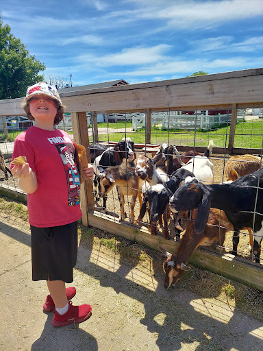 Social Services Organization «Lambs Farm», reviews and photos, 14245 W Rockland Rd, Libertyville, IL 60048, USA