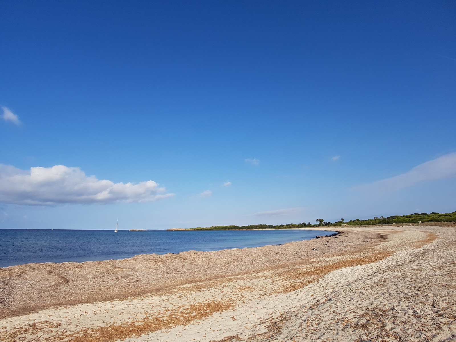 Foto av El Caragol vildmarksområde