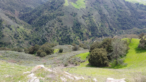 Nature Preserve «Sierra Vista Open Space Preserve», reviews and photos, 5355 Sierra Rd, San Jose, CA 95132, USA
