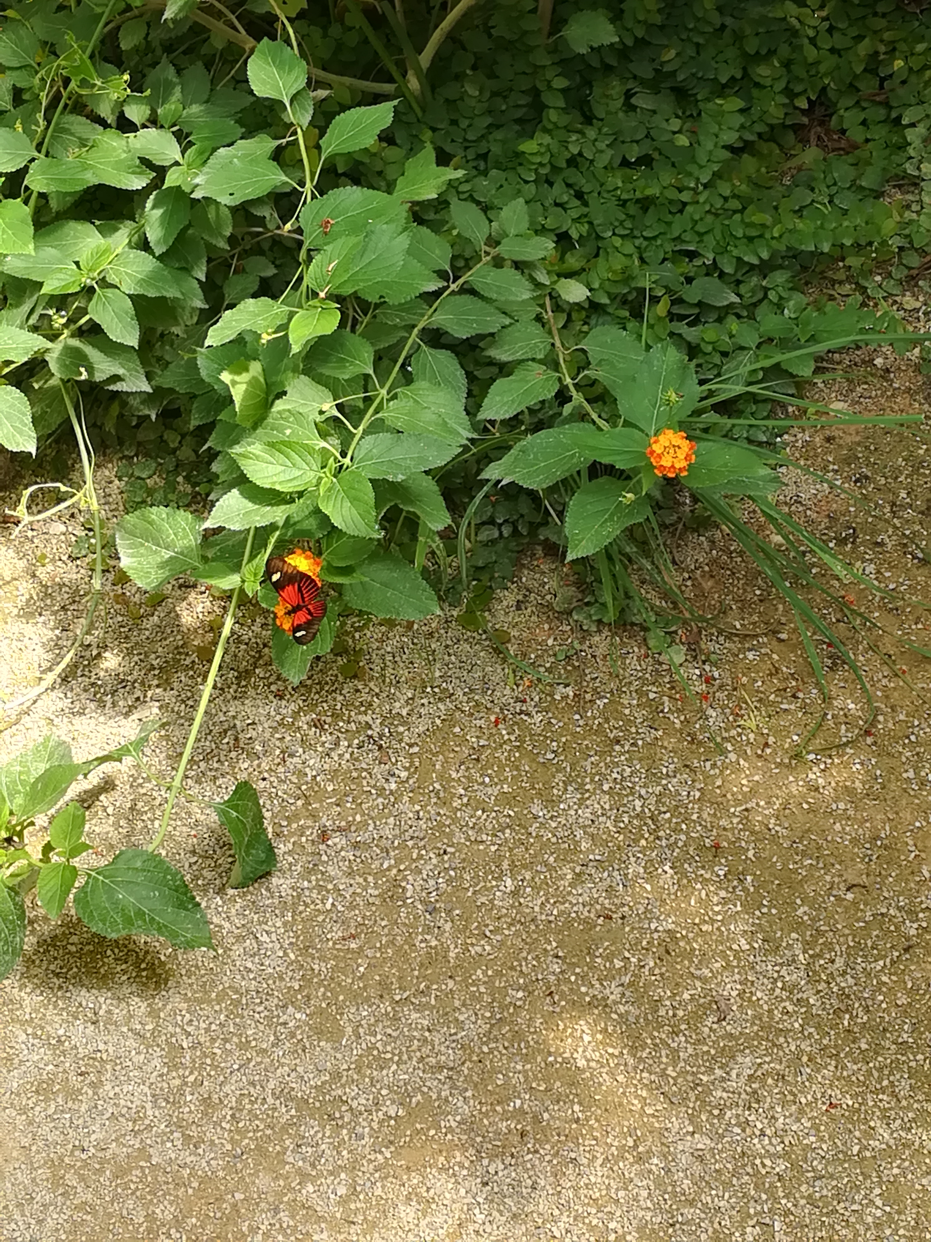 Photo n° 13 de l'avis de Kevin.a fait le 11/08/2019 à 20:37