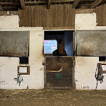 Photo n°4 de l'avis de JF.� fait le 21/11/2021 à 06:17 sur le  Hotel Reiterhof Altmühlsee - Jörg & Matthias Schwarz GbR à Gunzenhausen