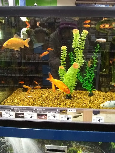 Pet Supply Store «Petco Animal Supplies», reviews and photos, 3454 Palmer Dr #7a, Cameron Park, CA 95682, USA