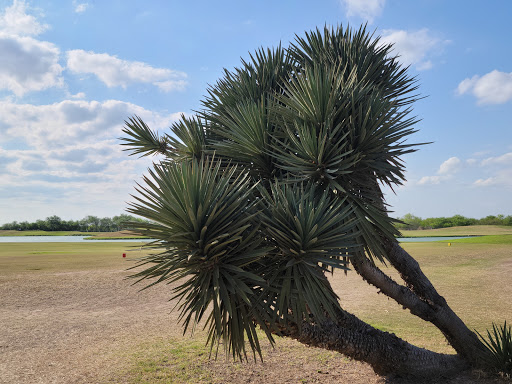 Golf Club «Tierra Santa Golf Club», reviews and photos, 1901 Club De Amistad, Weslaco, TX 78596, USA