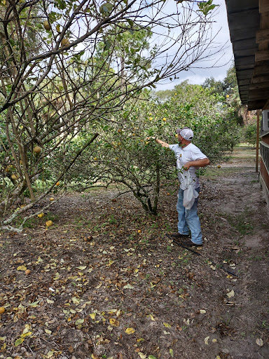 Farm «Butrico Groves Orange Grove», reviews and photos, 6065 Magnolia St, Mims, FL 32754, USA